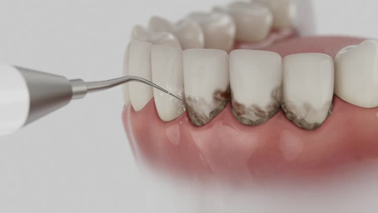 Reliable Dental contractor in Ecorse, MI by Dentist Open Now